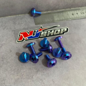 Baut Titanium M6x15 Drat 10 (1,5cm) – Blue Purple